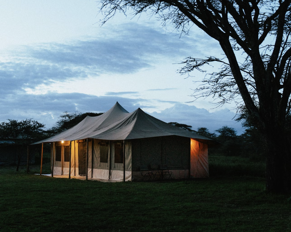 Safari lodge