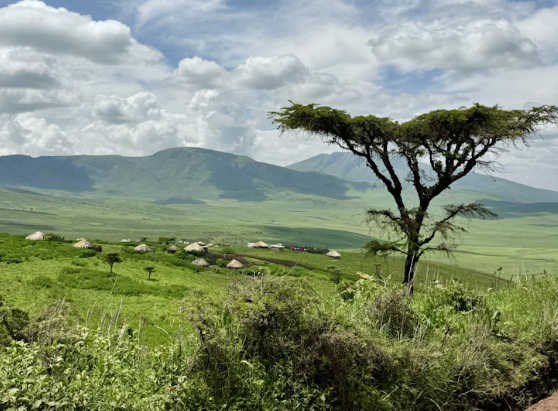 Ngorongoro Crater