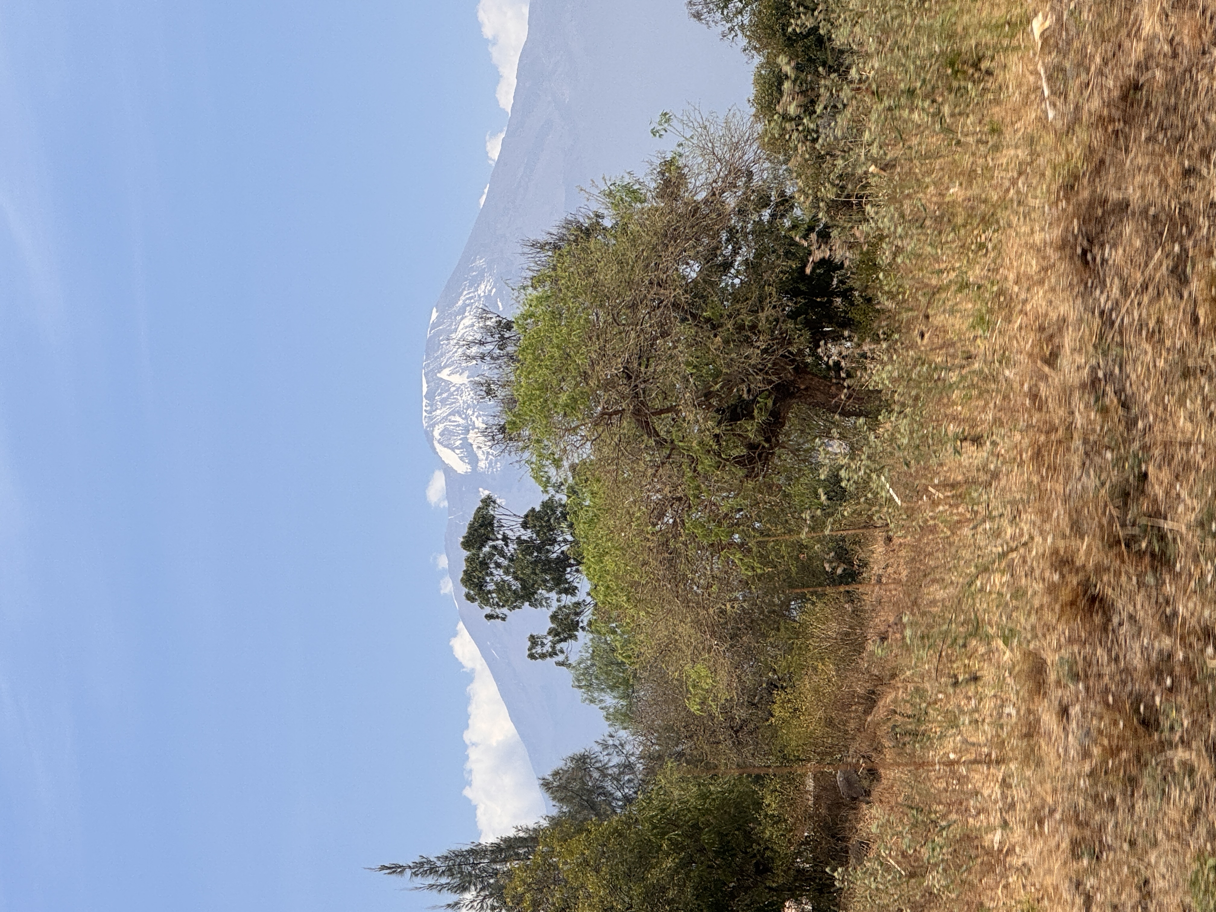 Mount Kilimanjaro