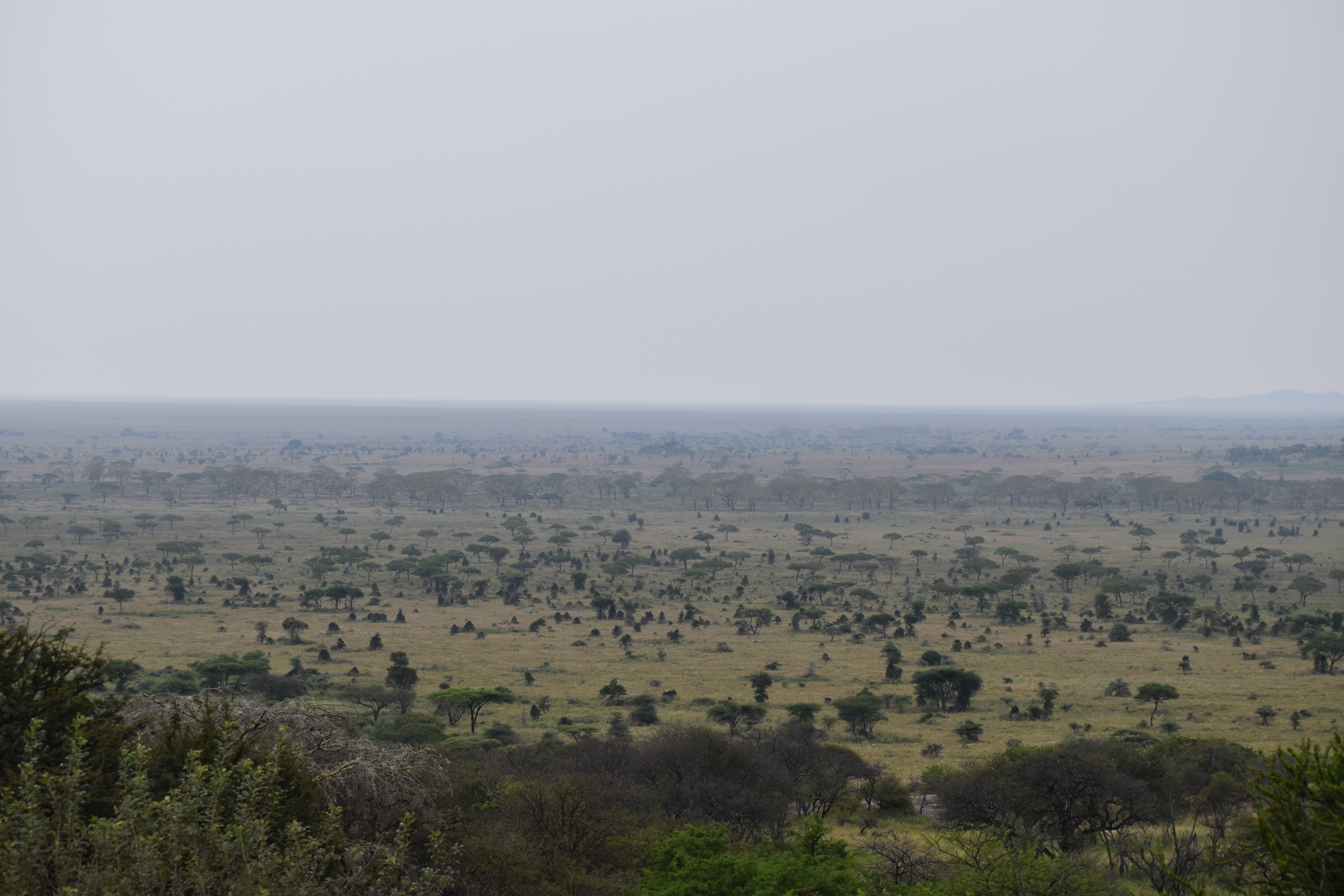 Northern Circuit Safari